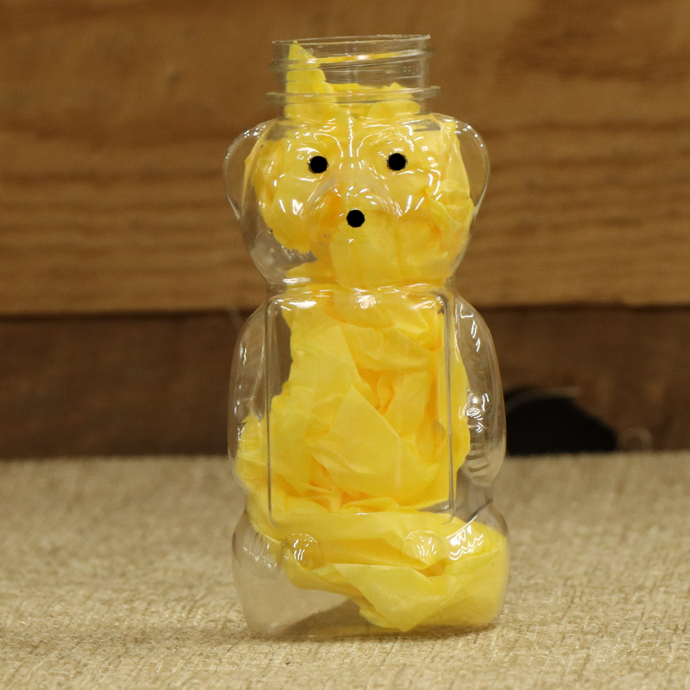12 oz Plastic Squeeze Bear - 12 Pack
