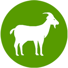 Goat Strong Gut & Health