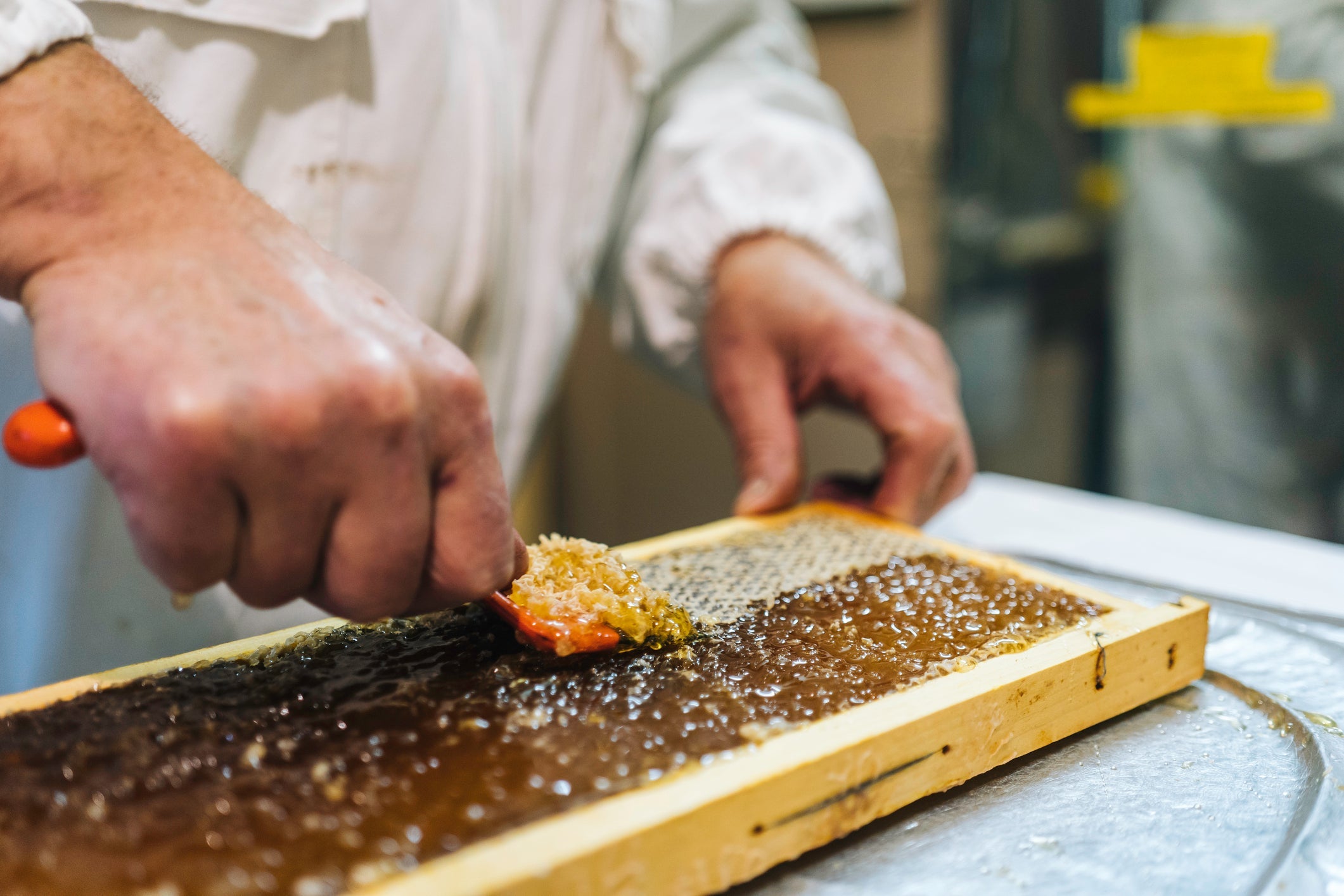 Extracting Equipment