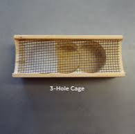 OHB Saskatraz Queen Bee